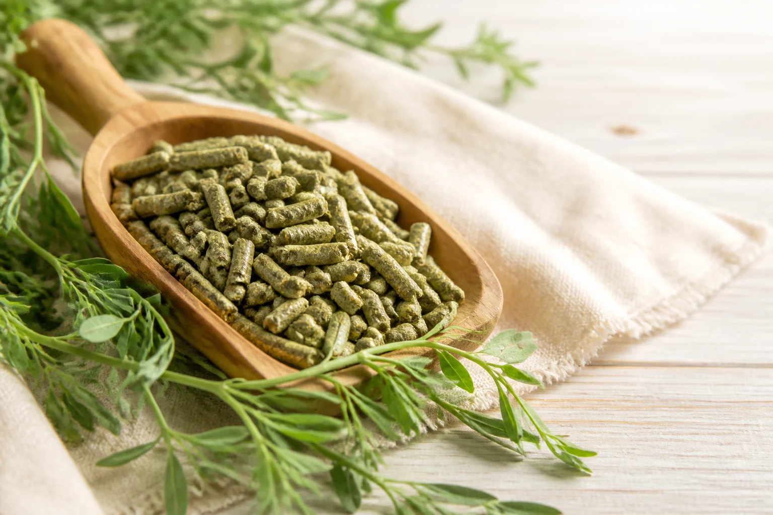 Pellets de alfalfa en una pala de madera con hojas frescas